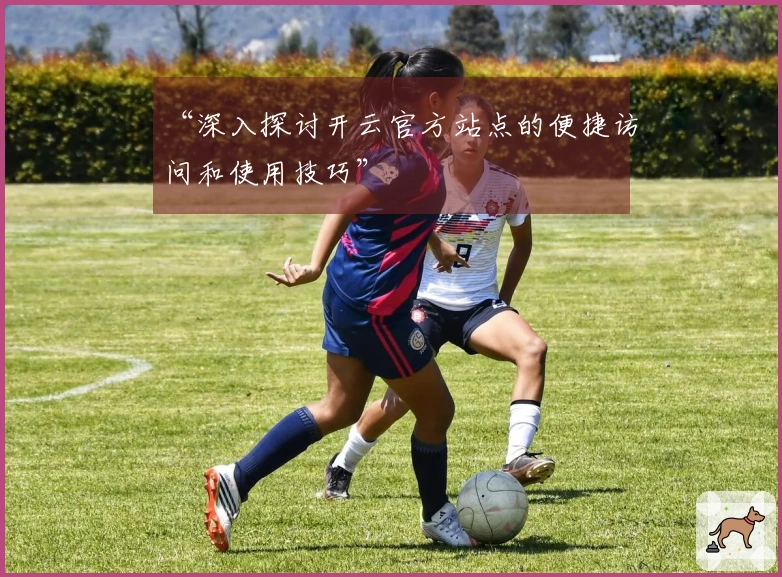 “深入探讨开云官方站点的便捷访问和使用技巧”